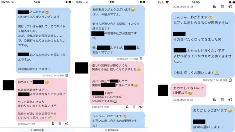 PCMAX内のメッセージ