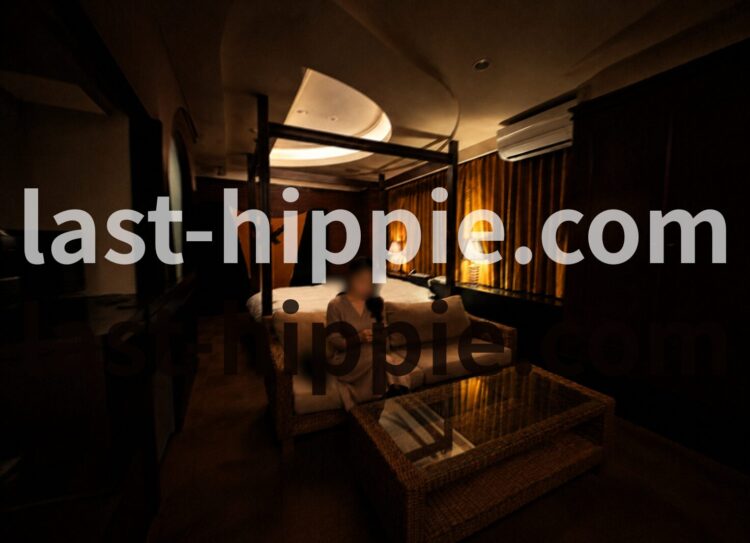 last-hippie.com (14)